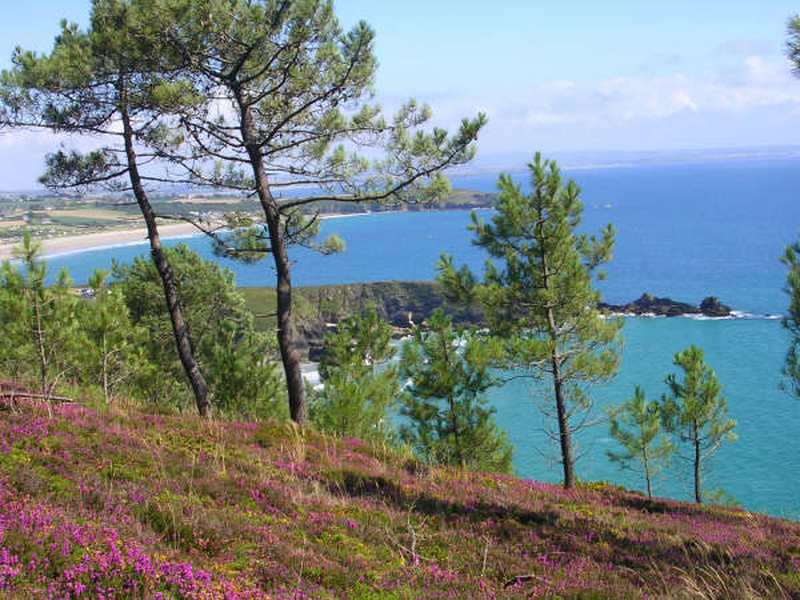 L'Armorique Bretaña - Telgruc-sur-Mer visuel 5/10