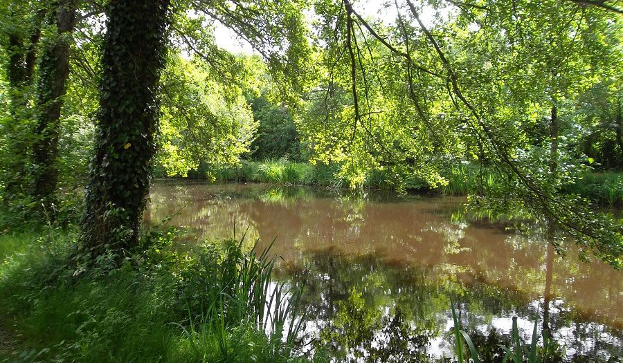 le Beauchêne Países del Loira - Avrillé visuel 5/18 le Beauchêne Países del Loira - Avrillé visuel 5/18