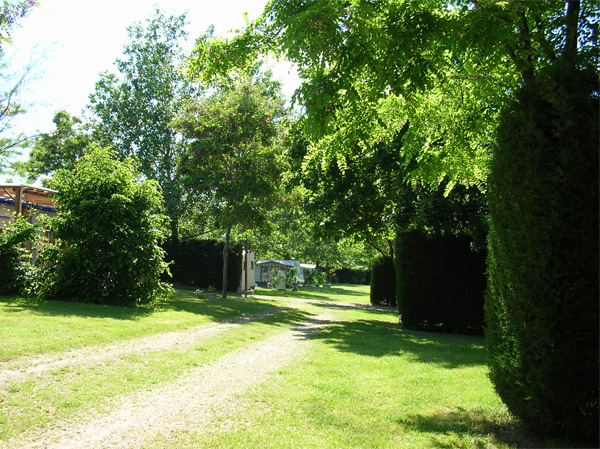 Le Bas Larin Ródano-Alpes - Félines visuel 6/10