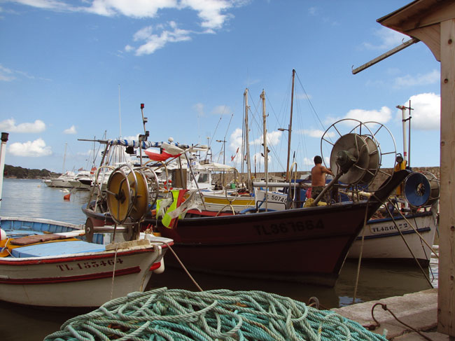 Le Beau Vezé Provenza-Alpes-Costa Azul - Carqueiranne visuel 4/10