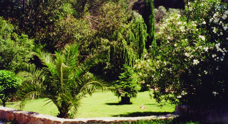 Le Beau Vezé Provenza-Alpes-Costa Azul - Carqueiranne visuel 6/10