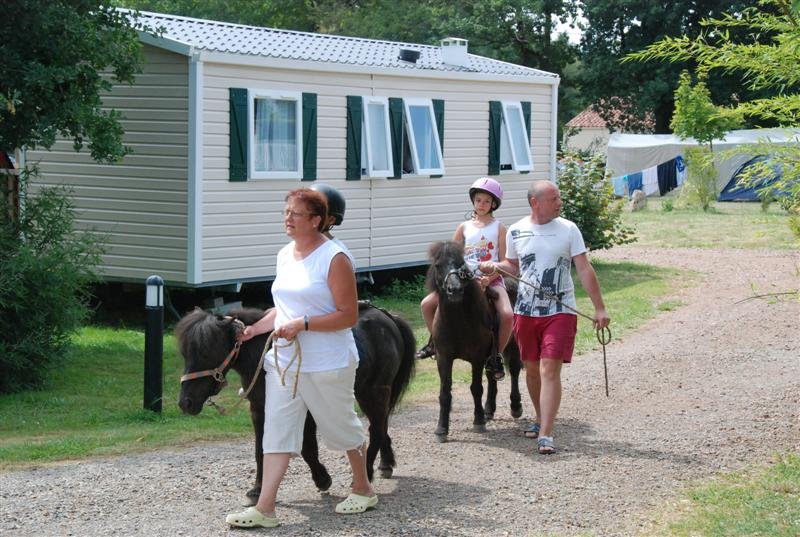 le Beauchêne Países del Loira - Avrillé visuel 13/18 le Beauchêne Países del Loira - Avrillé visuel 13/18