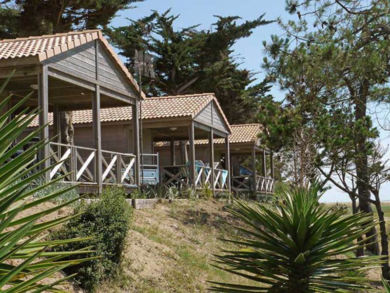 Le Bellevue Países del Loira - La Tranche-sur-Mer visuel 4/11 Le Bellevue Países del Loira - La Tranche-sur-Mer visuel 4/11