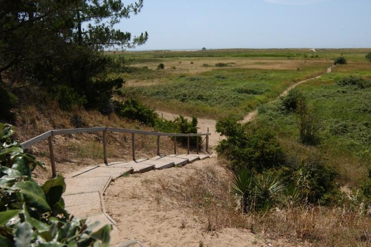 Le Bellevue Países del Loira - La Tranche-sur-Mer visuel 10/11 Le Bellevue Países del Loira - La Tranche-sur-Mer visuel 10/11