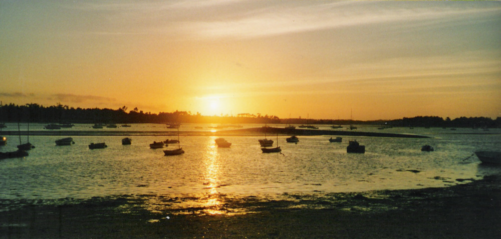 Le Bois d'Amour Bretaña - L'île-Tudy visuel 2/5