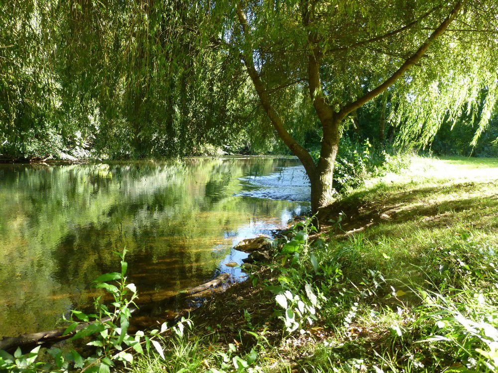 Le Bois de Coderc Aquitania - Antonne-et-Trigonant visuel 2/7