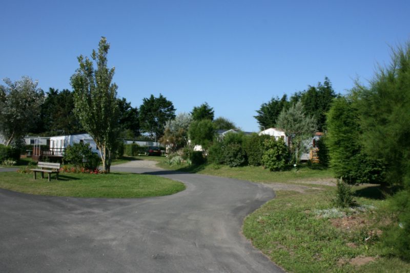 le Bois des Pins Picardía - Cayeux-sur-Mer visuel 2/10 le Bois des Pins Picardía - Cayeux-sur-Mer visuel 2/10