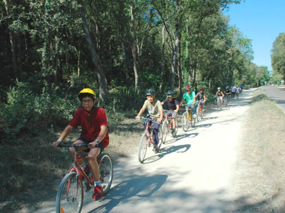Le Bois Soleil Países del Loira - Olonne-sur-Mer visuel 6/15 Le Bois Soleil Países del Loira - Olonne-sur-Mer visuel 6/15