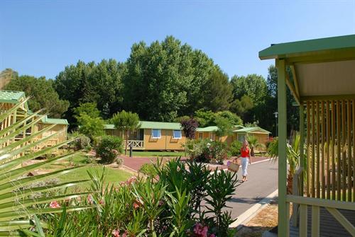 Le Bosc d'en Roug Languedoc-Rosellón - Saint-Cyprien visuel 12/14 Le Bosc d'en Roug Languedoc-Rosellón - Saint-Cyprien visuel 12/14