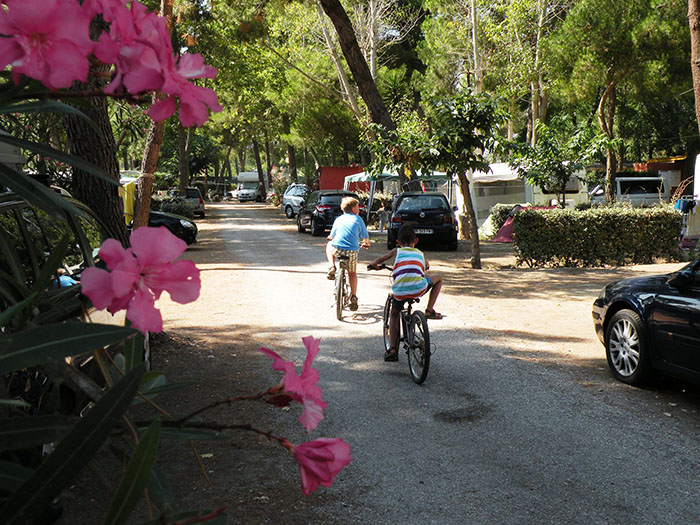 Le Bosquet Languedoc-Rosellón - Canet-en-Roussillon visuel 3/3