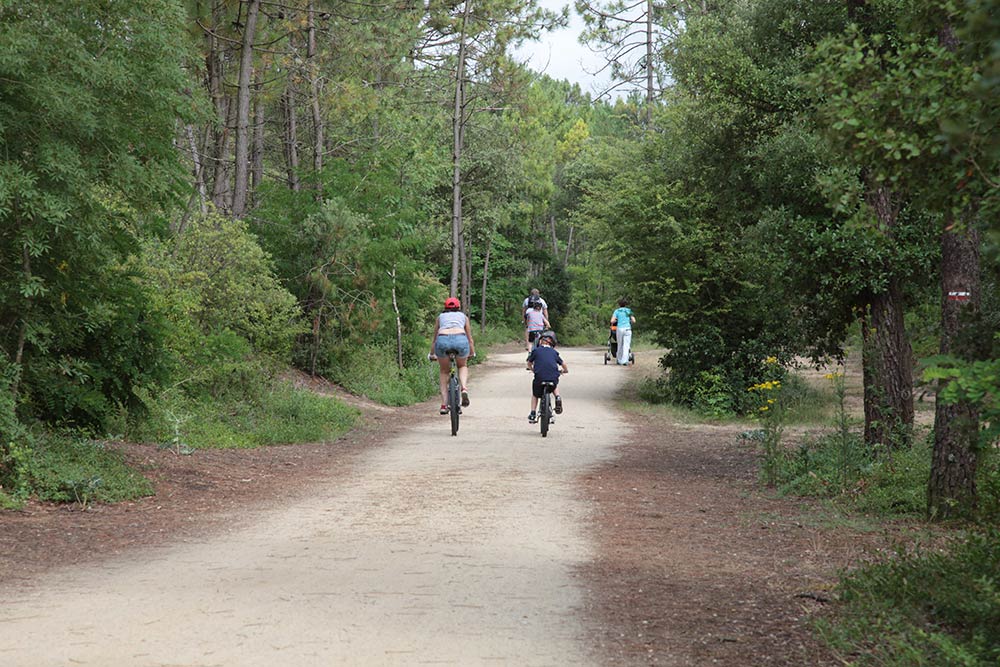 Le California Países del Loira - Saint-Jean-de-Monts visuel 12/18