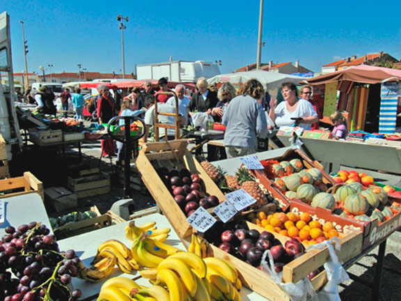 Le Calypso Languedoc-Rosellón - Torreilles visuel 6/11