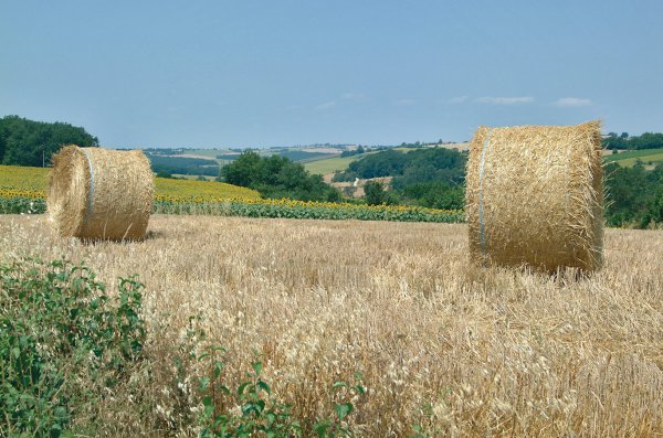 Le Camp de Florence Mediodía-Pirineos - La Romieu visuel 4/10