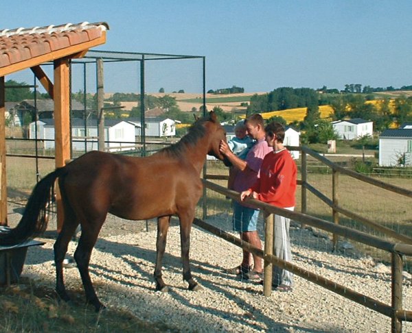Le Camp de Florence Mediodía-Pirineos - La Romieu visuel 5/10