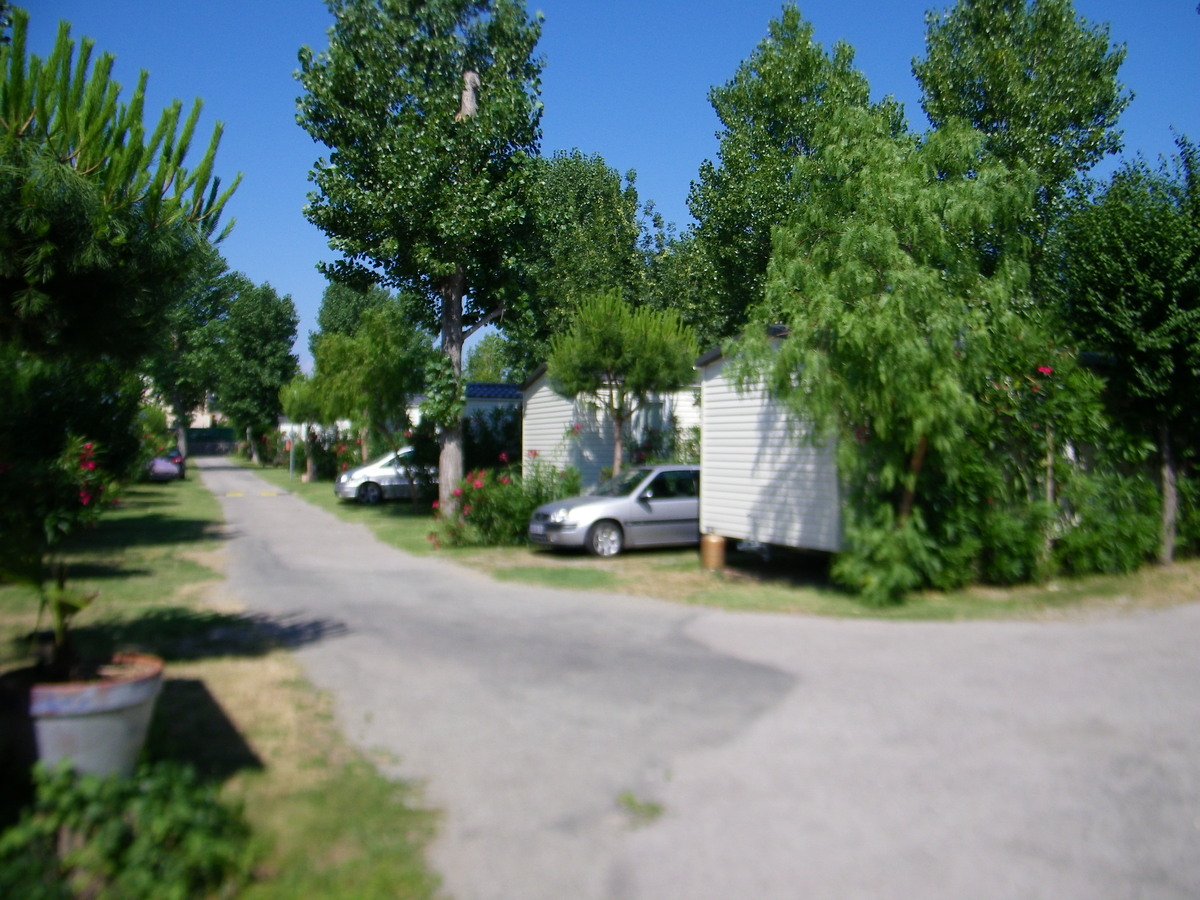 Le Carrefour Languedoc-Rosellón - Argelès-sur-Mer visuel 3/6 Le Carrefour Languedoc-Rosellón - Argelès-sur-Mer visuel 3/6