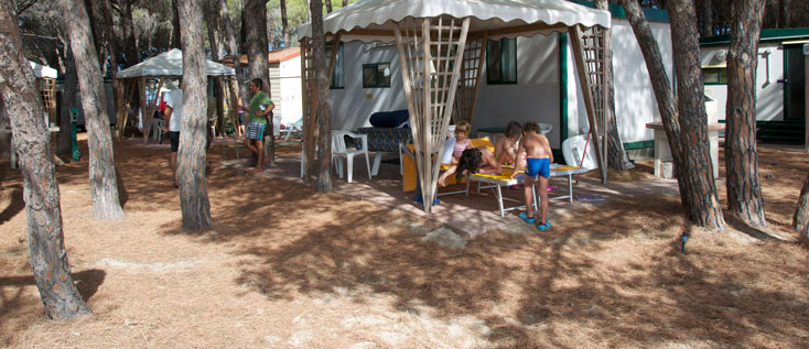 Le Cernie Cerdeña - Lotzorai visuel 8/10