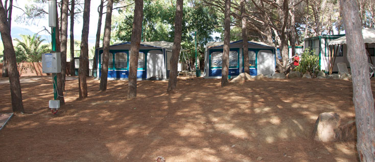 Le Cernie Cerdeña - Lotzorai visuel 10/10