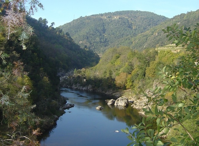 Coeur d'Ardèche Ródano-Alpes - Saint-Vincent-de-Durfort visuel 5/8