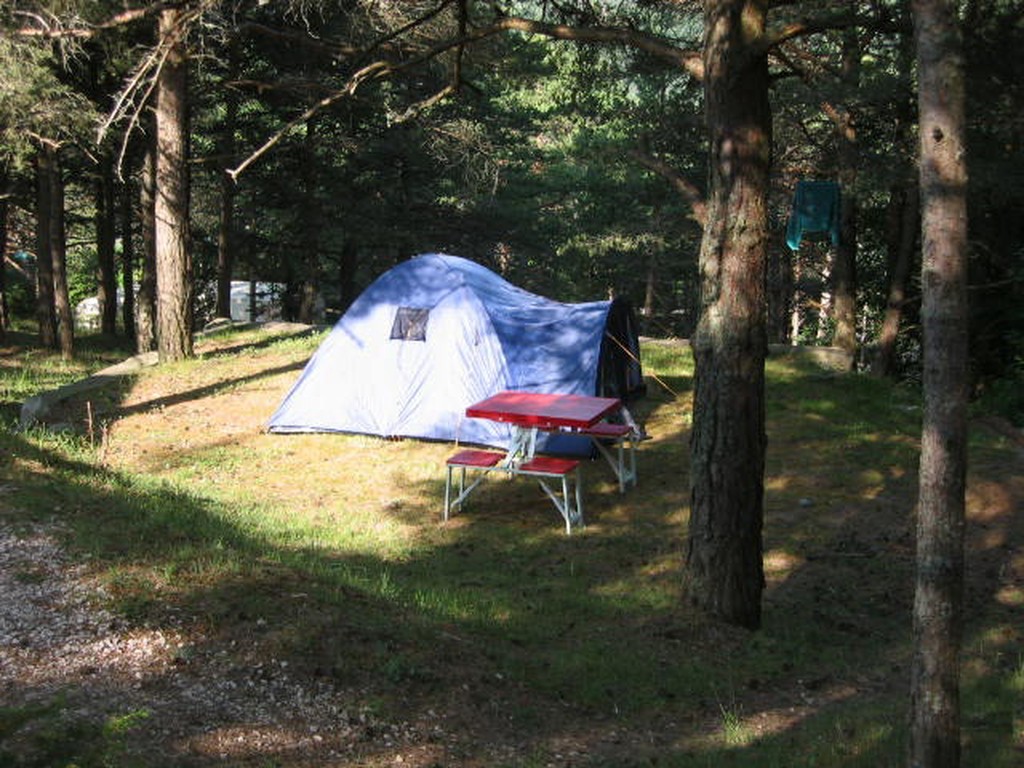 Le Champ Long Ródano-Alpes - La Salle-en-Beaumont visuel 8/10 Le Champ Long Ródano-Alpes - La Salle-en-Beaumont visuel 8/10