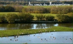 Le Champ Neuf Picardía - Saint-Quentin-en-Tourmont visuel 8/10 Le Champ Neuf Picardía - Saint-Quentin-en-Tourmont visuel 8/10