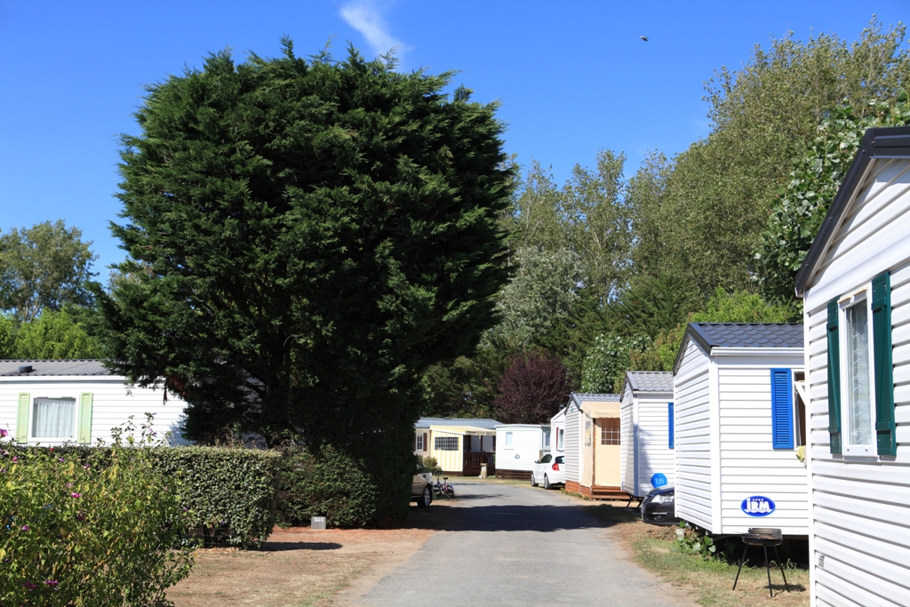 Le Château Países del Loira - Saint-Hilaire-de-Riez visuel 10/11 Le Château Países del Loira - Saint-Hilaire-de-Riez visuel 10/11