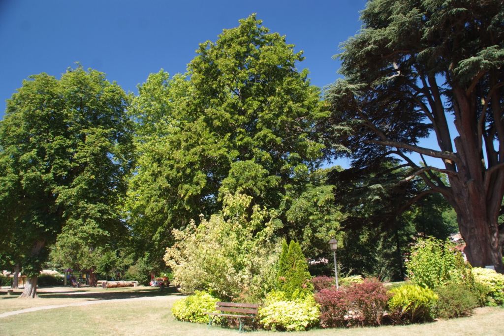 Le Château Ródano-Alpes - Hauterives visuel 9/11