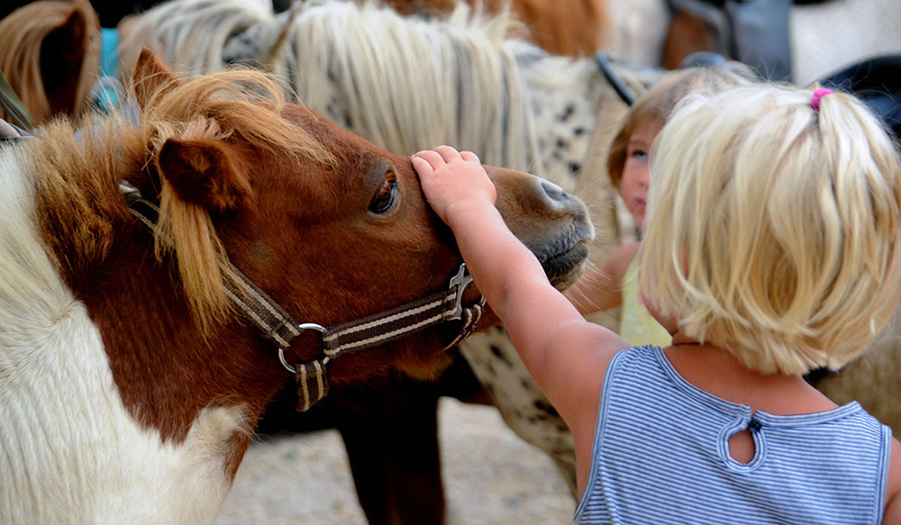 Le Château de Galaure Ródano-Alpes - Châteauneuf-de-Galaure visuel 14/14