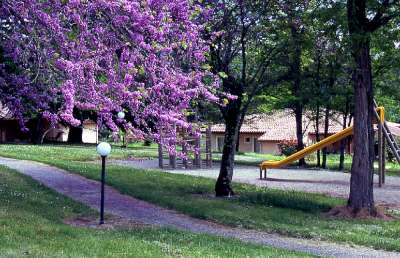 Le Château de Termes Mediodía-Pirineos - Saint-Denis-lès-Martel visuel 3/8 Le Château de Termes Mediodía-Pirineos - Saint-Denis-lès-Martel visuel 3/8