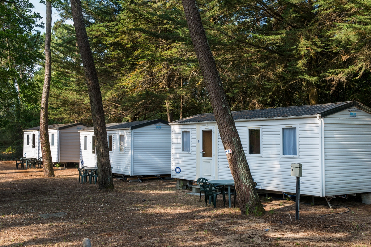 Le Chenal Países del Loira - Saint-Jean-de-Monts visuel 3/9 Le Chenal Países del Loira - Saint-Jean-de-Monts visuel 3/9