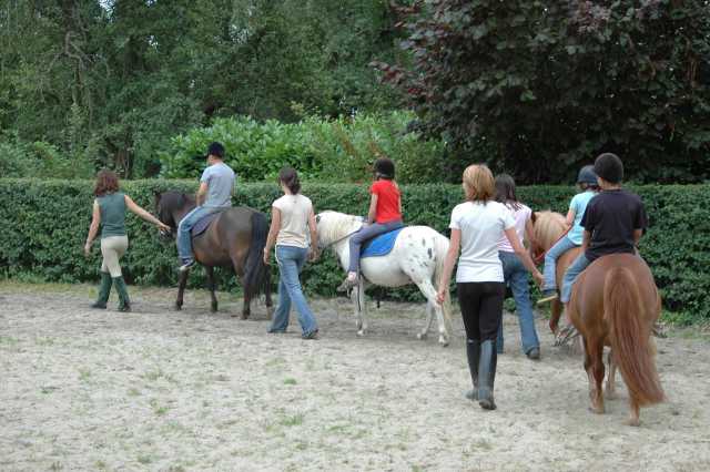 Le Chenal Países del Loira - Saint-Jean-de-Monts visuel 8/9 Le Chenal Países del Loira - Saint-Jean-de-Monts visuel 8/9
