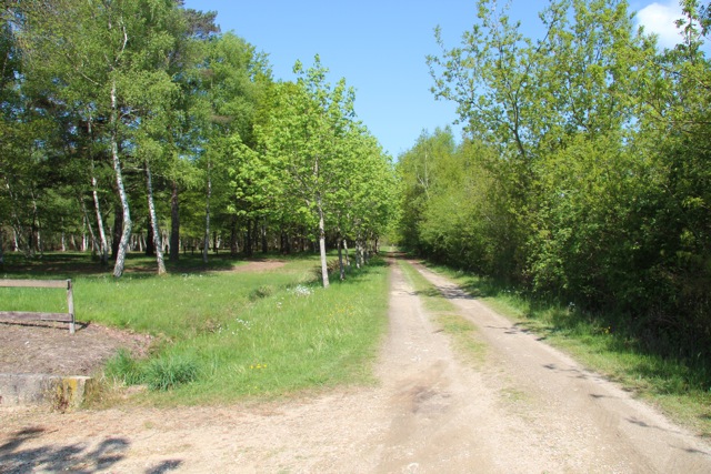 Le Chêne centro valle - Pruniers-en-Sologne visuel 2/6