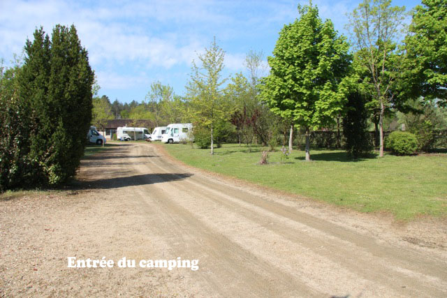 Le Chêne centro valle - Pruniers-en-Sologne visuel 6/6