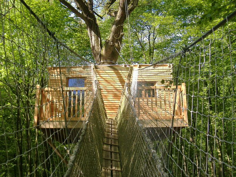 Le Chêne Perché  Champaña-Ardenas - Signy-l'Abbaye visuel 1/9 Le Chêne Perché  Champaña-Ardenas - Signy-l'Abbaye visuel 1/9