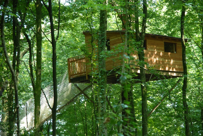 Le Chêne Perché  Champaña-Ardenas - Signy-l'Abbaye visuel 2/9 Le Chêne Perché  Champaña-Ardenas - Signy-l'Abbaye visuel 2/9