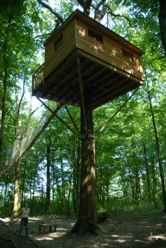 Le Chêne Perché  Champaña-Ardenas - Signy-l'Abbaye visuel 3/9 Le Chêne Perché  Champaña-Ardenas - Signy-l'Abbaye visuel 3/9