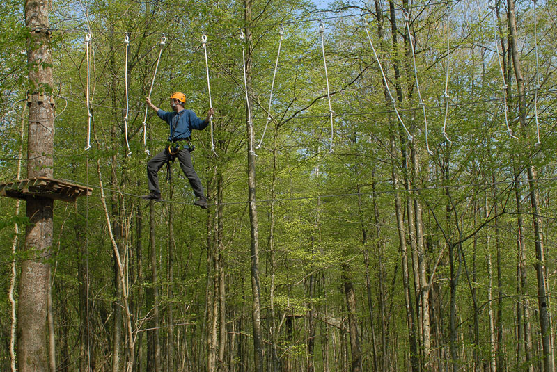 Le Chêne Perché  Champaña-Ardenas - Signy-l'Abbaye visuel 5/9 Le Chêne Perché  Champaña-Ardenas - Signy-l'Abbaye visuel 5/9