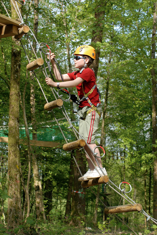 Le Chêne Perché  Champaña-Ardenas - Signy-l'Abbaye visuel 6/9 Le Chêne Perché  Champaña-Ardenas - Signy-l'Abbaye visuel 6/9