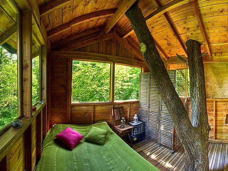 Le Chêne Perché  Champaña-Ardenas - Signy-l'Abbaye visuel 7/9 Le Chêne Perché  Champaña-Ardenas - Signy-l'Abbaye visuel 7/9