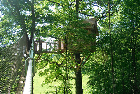 Le Chêne Perché  Champaña-Ardenas - Signy-l'Abbaye visuel 8/9 Le Chêne Perché  Champaña-Ardenas - Signy-l'Abbaye visuel 8/9