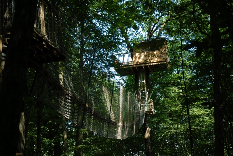 Le Chêne Perché  Champaña-Ardenas - Signy-l'Abbaye visuel 9/9 Le Chêne Perché  Champaña-Ardenas - Signy-l'Abbaye visuel 9/9