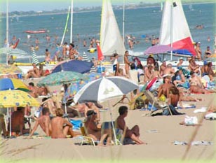 Le Sérignan nature Languedoc-Rosellón - Sérignan visuel 1/1 Le Sérignan nature Languedoc-Rosellón - Sérignan visuel 1/1