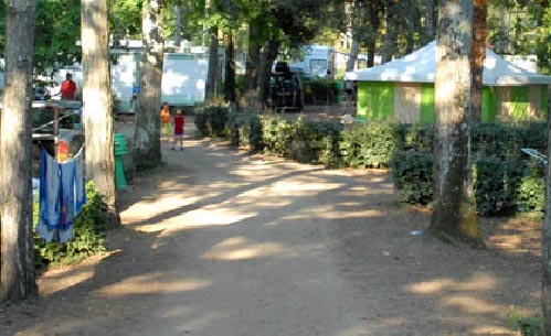 Le Clos des Pins Países del Loira - Longeville sur Mer visuel 6/10 Le Clos des Pins Países del Loira - Longeville sur Mer visuel 6/10