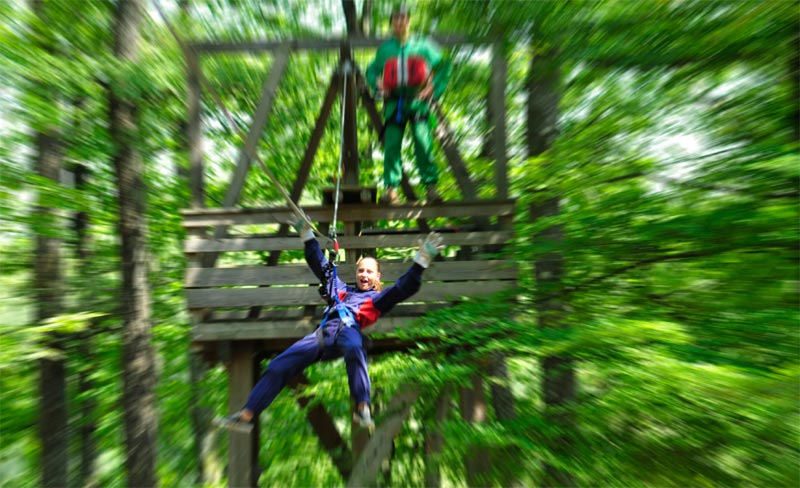 Le Coiroux Limosín - Aubazine visuel 11/11 Le Coiroux Limosín - Aubazine visuel 11/11