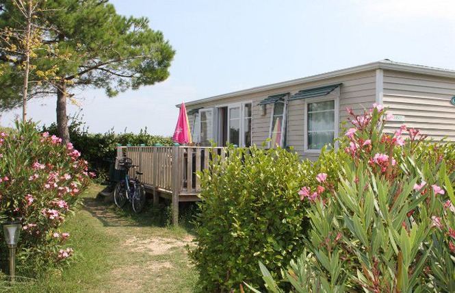 Le Cormoran Poitou-Charentes - Ars-en-Ré visuel 2/5 Le Cormoran Poitou-Charentes - Ars-en-Ré visuel 2/5