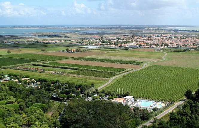 Le Cormoran Poitou-Charentes - Ars-en-Ré visuel 5/5 Le Cormoran Poitou-Charentes - Ars-en-Ré visuel 5/5