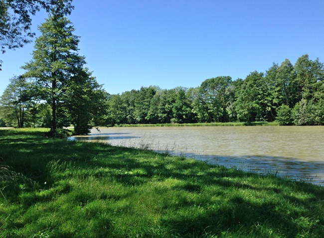 Camping de Mépillat Ródano-Alpes - Saint-Nizier-le-Bouchoux visuel 11/13 Camping de Mépillat Ródano-Alpes - Saint-Nizier-le-Bouchoux visuel 11/13