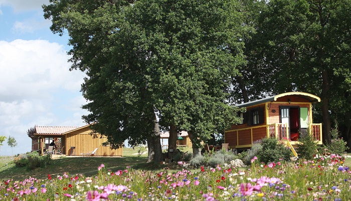 Le Domaine des Cadets de Gascogne Mediodía-Pirineos - Pauilhac visuel 8/10 Le Domaine des Cadets de Gascogne Mediodía-Pirineos - Pauilhac visuel 8/10