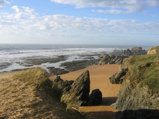 Le Domaine des Pins Países del Loira - Saint-Hilaire-de-Riez visuel 4/11