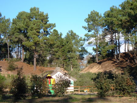 Le Domaine des Pins Países del Loira - Saint-Hilaire-de-Riez visuel 6/11