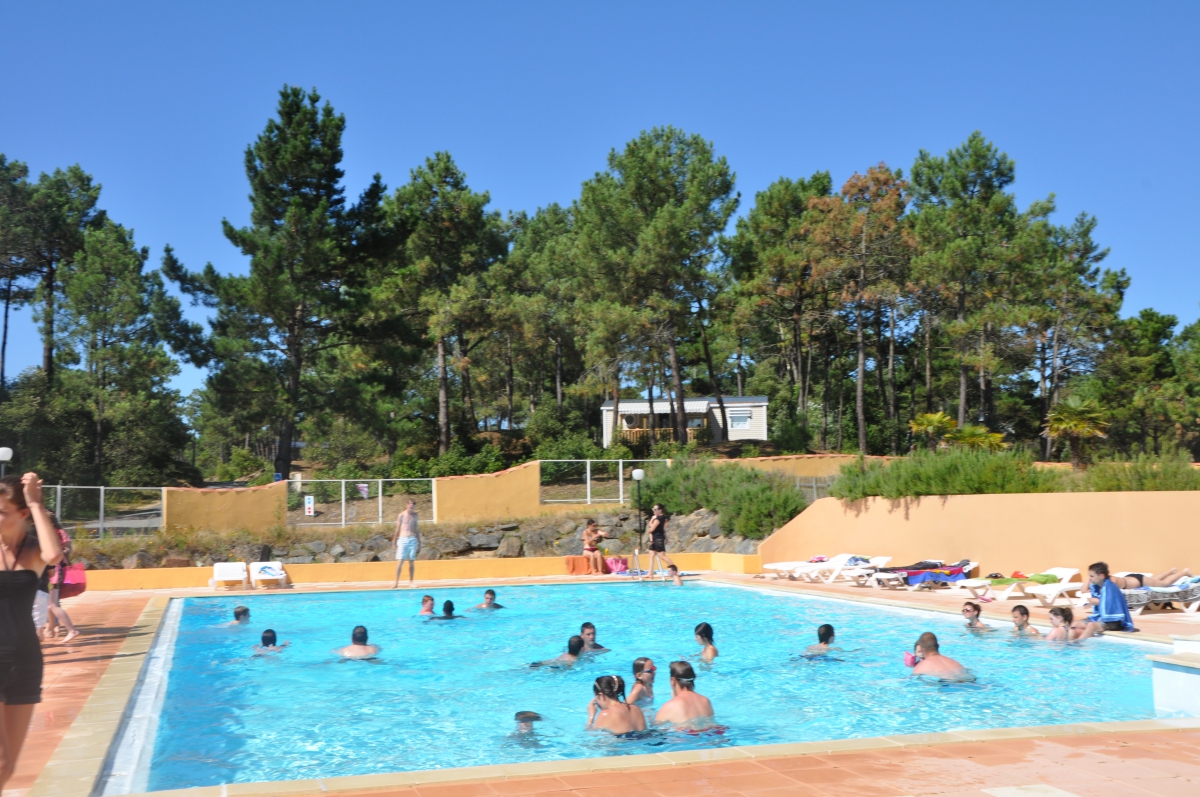 Le Domaine des Pins Países del Loira - Saint-Hilaire-de-Riez visuel 8/11